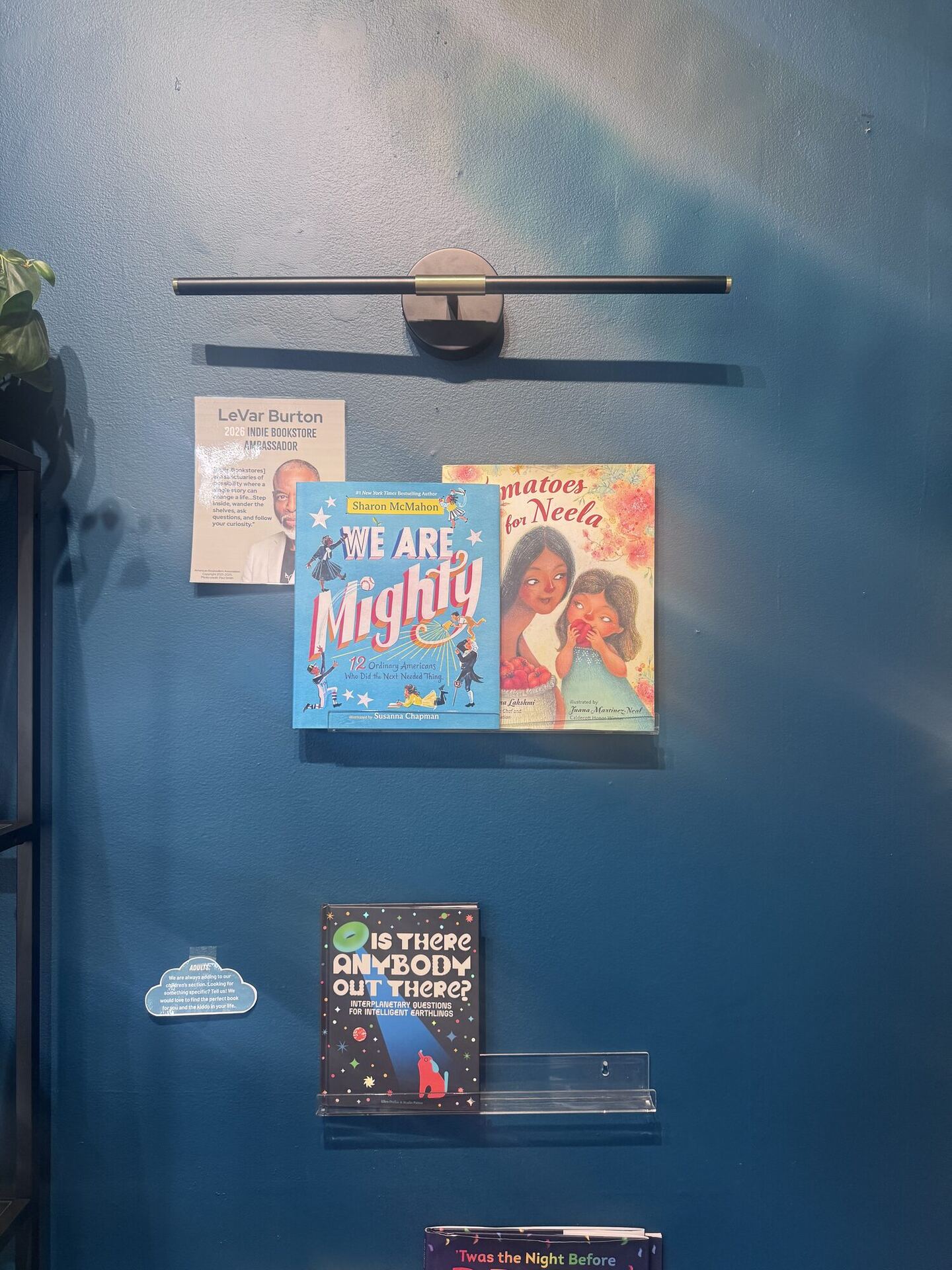 A deep teal wall lit by a slim brass picture light. Two narrow ledges hold picture books face out, among them We Are Mighty and Tomatoes for Neela, with Is There Anybody Out There? below, and a small card beside them shows LeVar Burton as an indie bookstore ambassador.